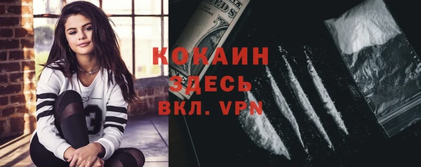 винт Абаза