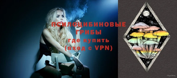 гашик Остров