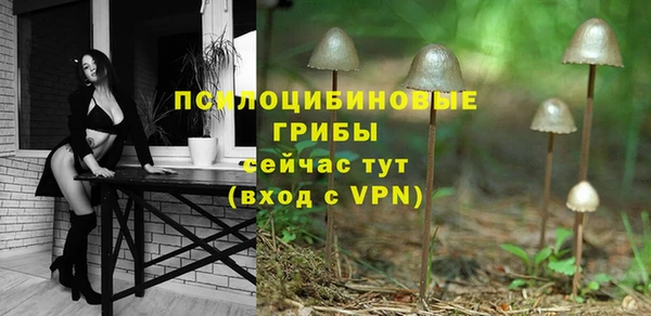 винт Абаза