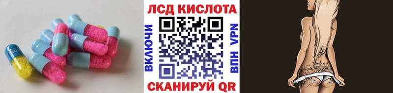 кракен tor  Каменногорск  сайты даркнета как зайти  Лсд 25 экстази кислота 